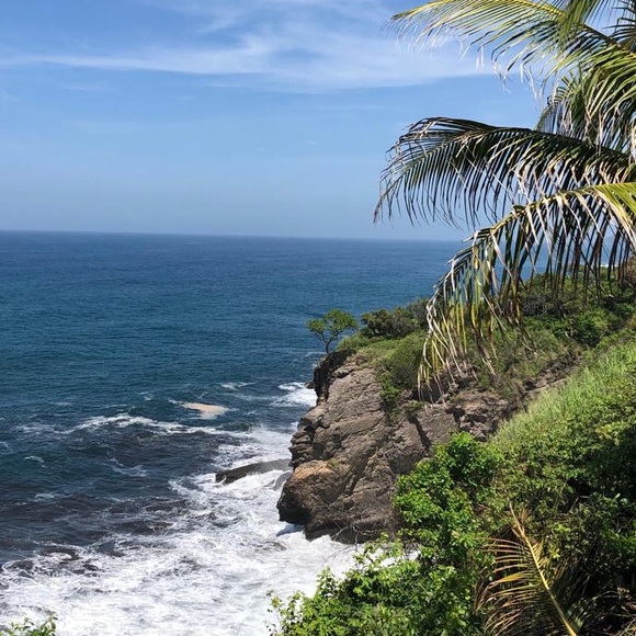 Meet your Posher, Alexander - Picture 3 of 4